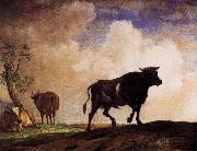 paulus potter The Bull oil painting on canvas